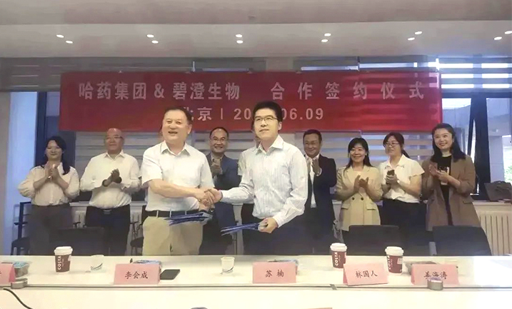 哈药携手清华大学，强强联合共创胶原蛋白行业未来